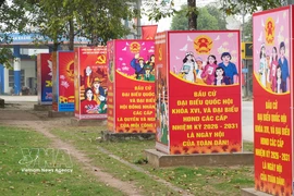 Billboards along a road in Lac Son commune, Phu Tho province ahead of the election day March 15. (Photo: VNA)