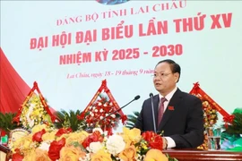 Newly-elected Secretary of the Lai Chau provincial Party Committee for the 2025–2030 term Le Minh Ngan. (Photo: VNA)
