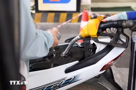 With this latest adjustment, domestic fuel prices have undergone 49 revisions since the beginning of the year. (Illustrative photo - Source: VNA)