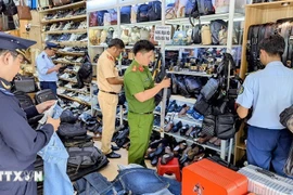 A large volume of goods of unclear origin is found in An Giang province (Photo: VNA)