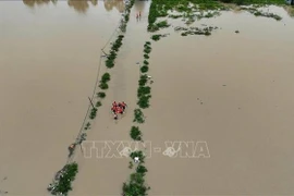 Nam Trang ward of Khanh Hoa province is under floodwater (Photo: VNA)