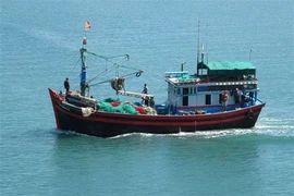 Illustrative photo (Photo: VNA)