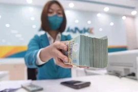 The State Bank of Vietnam sets the daily reference exchange rate at 25,052 VND on June 30 (Photo: VNA)