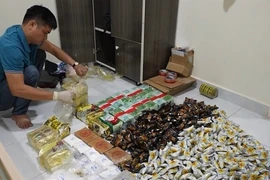 More than 30 kilogrammes of various drugs trafficked from Cambodia to HCM City were seized in a police operation in March 2025. (Photo: VNA)