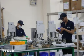 New export processing zones and industrial parks (IPs) in Ho Chi Minh City expect to attract a total of 3.73 billion USD in investment in 2025. - Illustrative image (Photo: VNA)