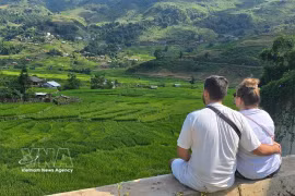 Foreign tourists enjoy the lush green rice fields in Ta Van commune, Lao Cai province. (Photo: VNA)