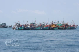 Illustrative image (Photo: VNA)