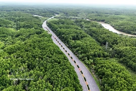 Can Gio mangrove forest in Ho Chi Minh City (Photo: VNA)