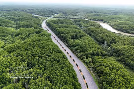 Can Gio mangrove forest in Ho Chi Minh City (Photo: VNA)