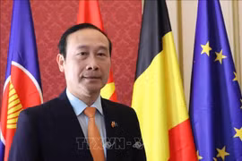 Vietnamese Ambassador to Belgium Nguyen Van Thao. (Photo: VNA)
