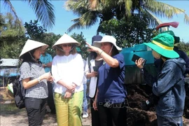 The Can Tho agricultural sector's representative introduces a pilot model of high-quality and low-emission rice cultivation to the Canadian Embassy's delegation. (Photo: VNA)