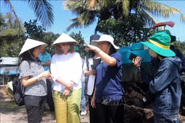 The Can Tho agricultural sector's representative introduces a pilot model of high-quality and low-emission rice cultivation to the Canadian Embassy's delegation. (Photo: VNA)