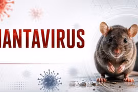 Thailand steps up hantavirus screening of passengers arriving from South America