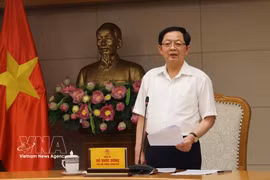 Deputy Prime Minister Ho Quoc Dung speaks at the meeting of the Government task force on strategic technology development on June 4. (Photo; VNA)