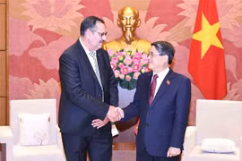 National Assembly Vice Chairman Nguyen Duc Hai (R) welcomes Chairman of the Algeria-Vietnam Friendship Parliamentarians’ Group Salah Djegloul (Photo: VNA)