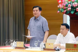 Deputy Minister of Industry and Trade Nguyen Sinh Nhat Tan speaks at the Government’s regular press conference for May, held in Hanoi on June 3, 2026. (Photo: VNA)