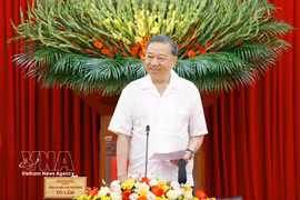 Party General Secretary and State President To Lam speaks at the working session with the Party Central Committee’s Organisation Commission in Hanoi on June 3, 2026. (Photo: VNA)
