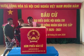 Fishermen cast their ballots at the Da Le polling station in Truong Sa special zone of Khanh Hoa province. (Photo: VNA) 