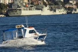 Illustrative photo (Photo: dijiwasanctuaries.com)