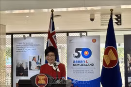 Ambassador Ton Thi Ngoc Huong, Permanent Representative of Vietnam to ASEAN, speaks at the opening ceremony of the photo exhibition (Photo: VNA).