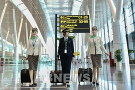 Illustrative photo (Photo: VNA)