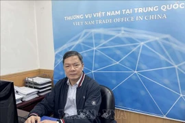 Vietnamese Trade Counsellor in China Nong Duc Lai (Photo: VNA)