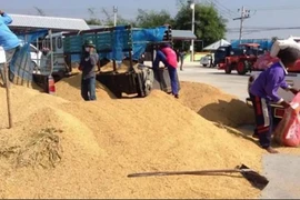 Illustrative photo (Photo: bangkokpost.com)