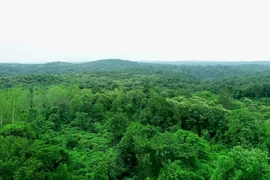 Thailand's five-year “Forests for Life” project will focus on four key landscapes: Doi Inthanon and Omkoi in Chiang Mai, Western Thung Yai Naresuan in Kanchanaburi, and Phanom Dong Rak in Si Sa Ket. (Photo: thailand.prd.go.th)