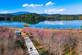 Pa Khoang Lake in Dien Bien (Photo: VNA)