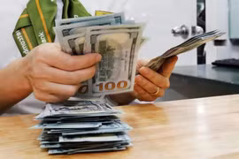 The daily reference exchange rate for the US dollar is set at 25,000 VND/USD on June 4. (Photo: VNA)