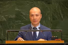 Minister Counselor Nguyen Hoang Nguyen, Deputy Permanent Representative of Vietnam to the United Nations, speaks at the plenary meeting (Photo: VNA)