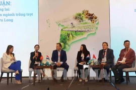 Delegates discuss innovative approaches to developing crop production in the Mekong Delta. (Photo: VNA)