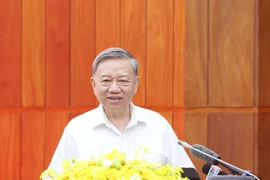 Party General Secretary To Lam addresses the working session (Photo: VNA)