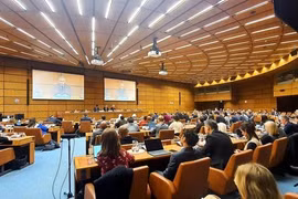Information consultation on the UN Convention against Cybercrime (Photo: chinhphu.vn)