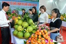 The Bac Ninh Fruit Festival 2025 will feature many new highlights. (Photo: Bac Ninh Newspaper)