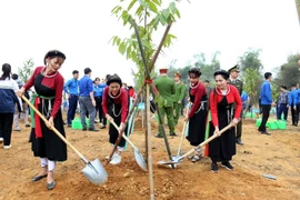 Residents of Tuyen Quang province take part in the One Billion Trees Programme. (Photo: VNA)