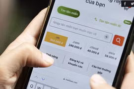 A person searching to purchase a “.vn” domain name. (Photo: vnexpress.net)