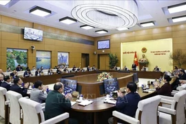 Illustrative image (Photo: VNA)