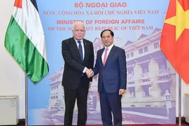 Deputy Prime Minister and Minister of Foreign Affairs Bui Thanh Son (right) receives Special Envoy of the President and Advisor for International Affairs of Palestine Riad Malki in Hanoi on December 25. (Photo: VNA)