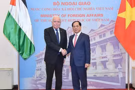 Deputy Prime Minister and Minister of Foreign Affairs Bui Thanh Son (right) receives Special Envoy of the President and Advisor for International Affairs of Palestine Riad Malki in Hanoi on December 25. (Photo: VNA)
