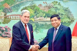 Deputy Prime Minister Nguyen Chi Dung (R) and Winston Peters, Minister of Foreign Affairs of New Zealand, at their meeting in Hanoi on November 25. (Photo: VNA)