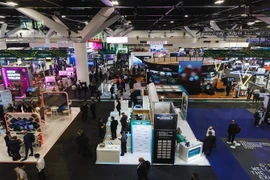 At the event (Photo: nhandan.vn)