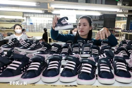 The Ha Tay Chemical Weave Co. Ltd exports 1.3 million pairs of footwear to the US and the EU in 2024. (Photo: VNA)