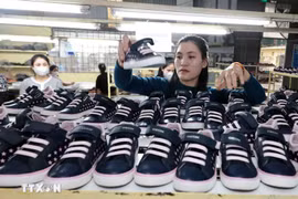 The Ha Tay Chemical Weave Co. Ltd exports 1.3 million pairs of footwear to the US and the EU in 2024. (Photo: VNA)