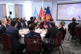 An overview of the event (Photo: VNA)