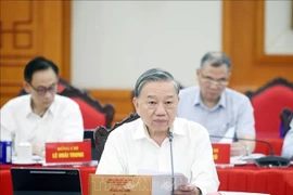 Party General Secretary To Lam (Photo: VNA)