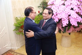 Prime Minister Pham Minh Chinh (right) and former General Secretary Nong Duc Manh (Photo: VNA)