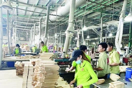 Vietnam gains 1.55 billion USD from the export of timber and wood products in December. - Illustrative image (Photo: vietnameconomy.vn)