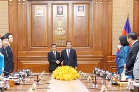 Politburo member and Permanent member of the Party Central Committee’s Secretariat Tran Cam Tu (L) and Acting Head of State, President of the Cambodian People’s Party (CPP), and President of the Cambodian Senate Cambodia Hun Sen (Photo: VNA)