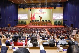 Delegates at the 14th National Party Congress vote on the list of candidates to the 14th Party Central Committee. (Photo: VNA)